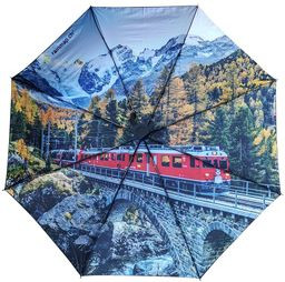 Fotoschirm Schweiz