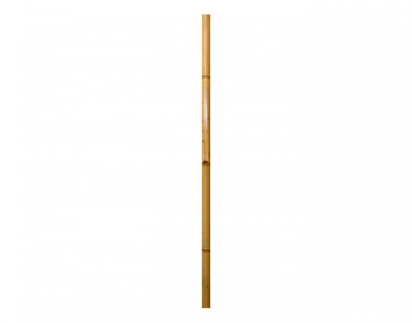 Bambus-Rohr 200x7-8cm natur transparent lackiert