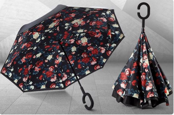 Regenschirm Umbrella