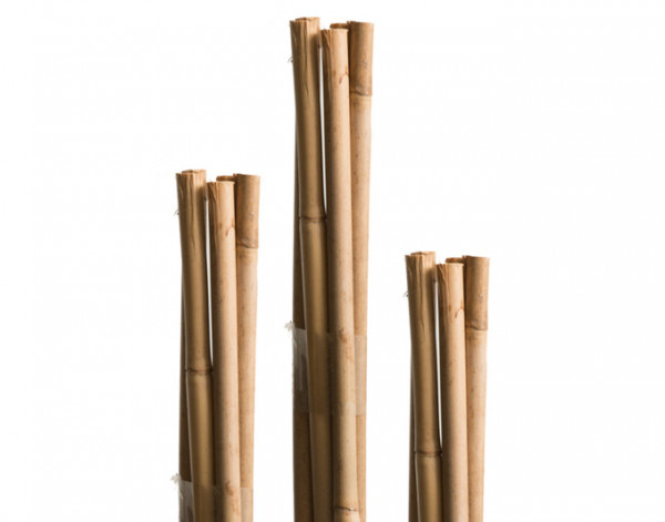 Bambus-Stab 120cm/8-10mm 05608 5St